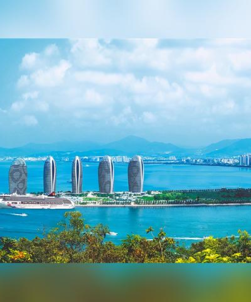 2024年澳门历史记录019期：马、羊、狗、龙，免费公开
