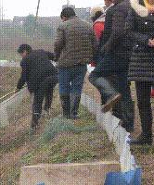 荆州最新水位报告发布