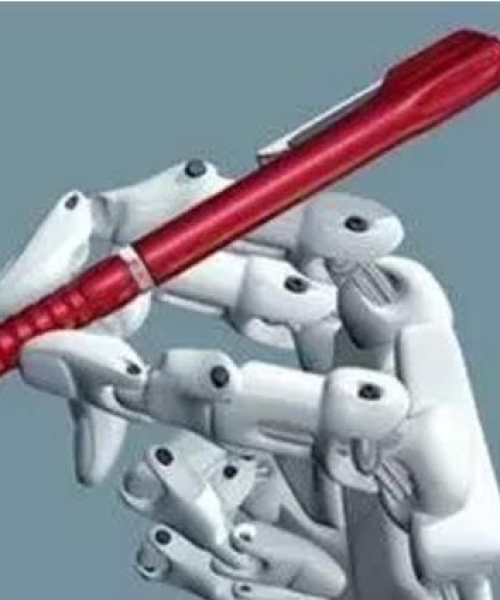 广东九寨沟最新动态，数字背后的故事揭秘