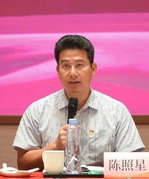 东莞证券公司级别排名大揭秘