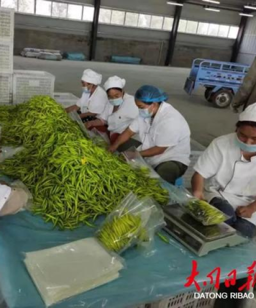 京东排名揭秘，河南天铸消防设备有限公司视角观察全球排名
