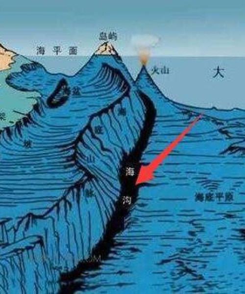 世界最小细胞排名揭晓，河南天铸消防设备带你了解详情