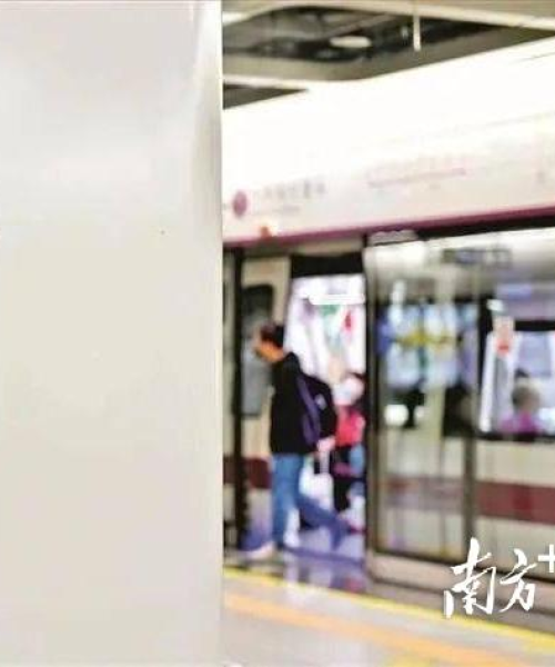 上海公司存活率排名及经营智慧探索
