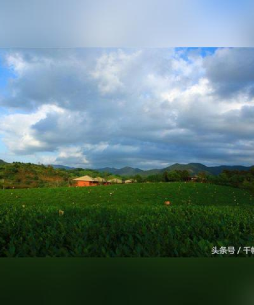 长兴无尘车间公司排名与卓越业绩概览