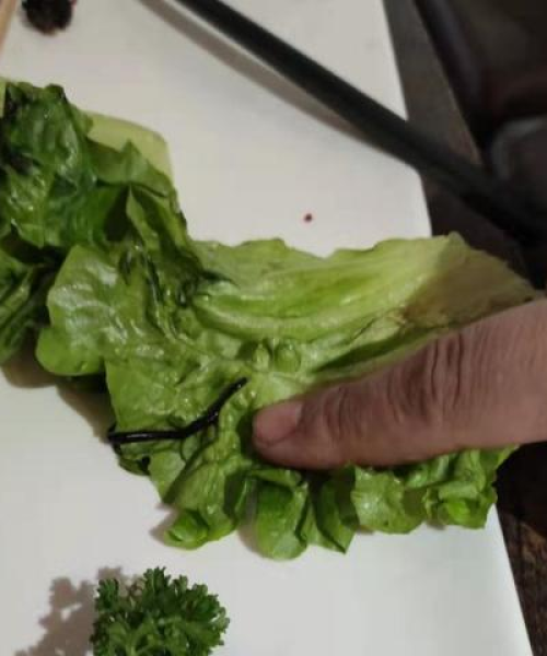海口美食之旅，消防同行，带你探寻排名前十的排骨饭店