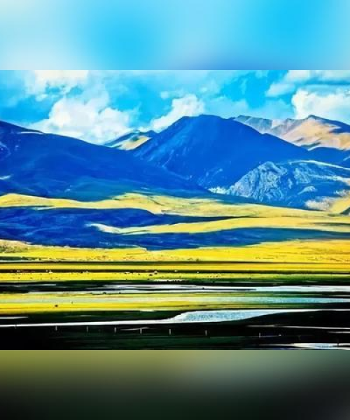 林芝小吃TOP10，地道美食之旅